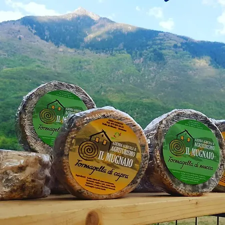 Agriturismo Il Mugnaio Zanetti
