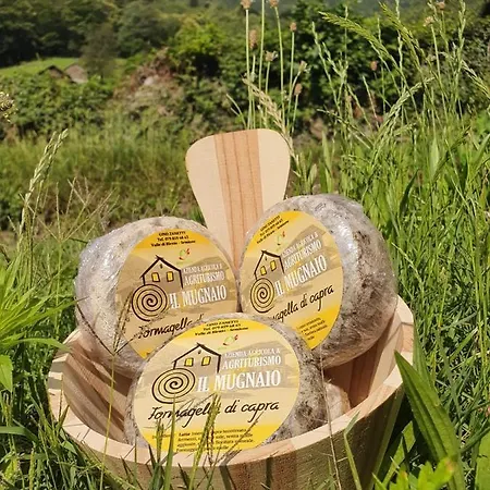 Agriturismo Il Mugnaio Zanetti *